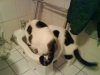 bidet2.JPG