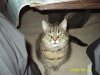 Friedo-Tim - Mickie 00003.JPG