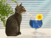 ATTB.gif