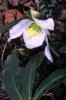 FrÃ¼hling 2008 014 399X600.jpg