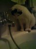 DSC07292.JPG