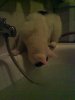 DSC07299.JPG