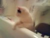 DSC07306.JPG
