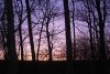 FrÃ¼hling 109 600X402.jpg