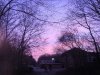 FrÃ¼hling 112 600X450.jpg