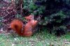 FrÃ¼hling 126 430X287.jpg