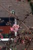FrÃ¼hling 086 400X600.jpg