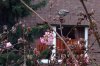 FrÃ¼hling 090 600X400.jpg