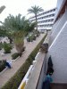 DSCF3206.JPG