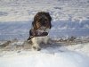 Winterurlaub Bayernpetra 056.jpg