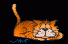 cat7[1].gif