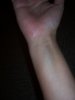 100_1232.JPG