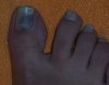 100_1237.JPG