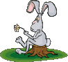 white-o_hase20.gif