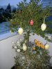 ALLES Ostern 08 198.jpg ALLES Ostern 08 198.jpg