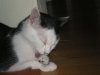 IMGP15230006.JPG