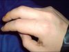 DSC00316.JPG