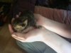 Baby.jpg