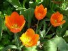 DSCN7823.JPG