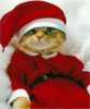 kittysanta.jpg