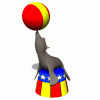 seal_balancing_ball_hw.gif