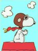 snoopy.jpg