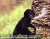 tiere_0043.jpg