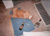 tiere_0047.jpg