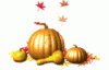 gourds.gif