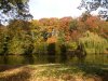 web. herbst im stadtgarten.jpg