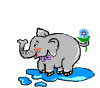 elefant8_3kb.gif