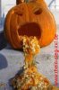 halloween.jpg