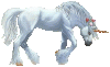 kopie (2) von unicorn3.gif