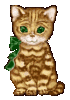 katze.gif