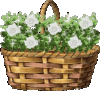 blumenkorb13-lukas.gif