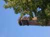 DSCF3455.JPG
