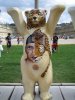 united buddy bears4.jpg