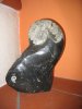 Muschelstein.jpg