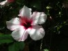 DSCN1194_.JPG