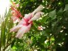 DSCN1195_.JPG