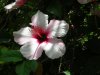 DSCN1196_.JPG