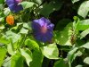 DSCN1205_.JPG