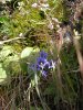 DSCN0342.jpg