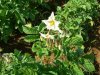 DSCN8376.JPG