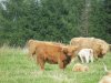 Bild4 063.jpg