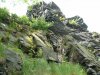 Unser Felsen im Sommer.JPG