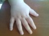 Bild147.jpg