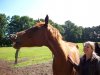 100_0070.jpg 100_0070.jpg