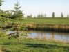 Plum River_1.jpg