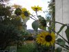 herbst3.jpg